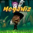 MegaWiz
