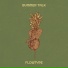 Flowtype
