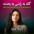 Said Meer