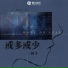 耗子