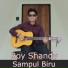 Boy Shandy