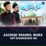 Mahmood Raza Qadri, Hassaan Raza Qadri