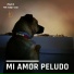 ManuX