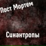Пост Мортем