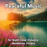 Yoga Music, Relaxing Music, Yoga
