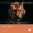Trance Century Radio - TranceFresh 376