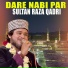 Sultan Raza Qadri