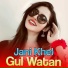Jani Khel
