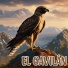 Ensamble Vocal de Medellín, Avivamiento Celestial
