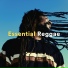 Reggae Instrumental