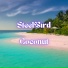 SteelBird