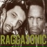 Raggasonic, NTM