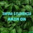 Akın Ok