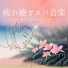リラクゼーション スパ Master