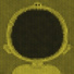 Cloroform