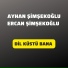 Ayhan Şimşekoğlu feat. Ercan Şimşekoğlu