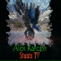 Alex Karcass