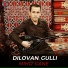 Dilovan Gulli