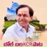 Ashok Yadav