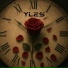 YL2S