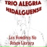 Trio Alegria Hidalguense