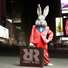 Rabbit In Red