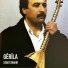 Xebat Shakir