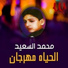 Mohamed El Saied