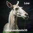 Langnasebeats35