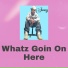 Jamzy
