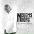 Nguema Ndong feat. Andgo, Kayaman Du Bled