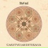 BluVinil