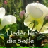 Gabriele Schroeter, Susanne Stolpe