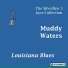 Muddy Waters