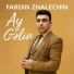 Fardin Zhalechin