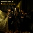 Anthracite Cat