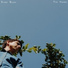 Evan Blum