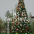 Christmas Frank