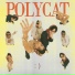 POLYCAT