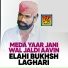 Elahi Bukhsh Laghari