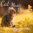Cat Music Dreams, RelaxMyCat, Cat Music Therapy