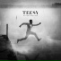 Teesy