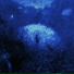 orbch