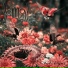 Somon