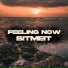BITMEIT