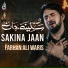 Farhan Ali Waris
