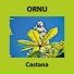 Ornu