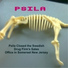 Psila