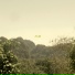 AMBSPATIAL