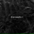 COLASNI, KVNS